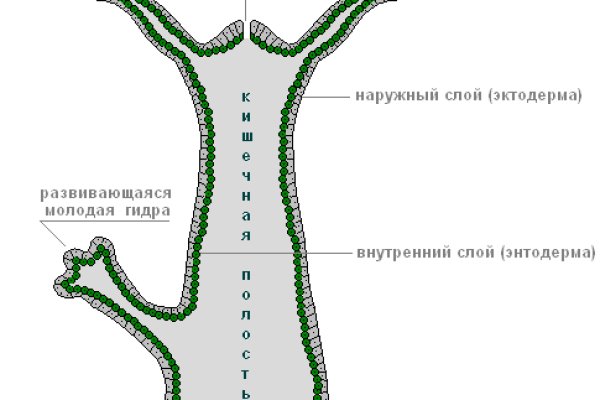 Список луковых tor сайтов
