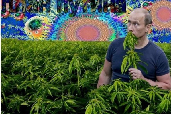 Официальный сайт кракен тор