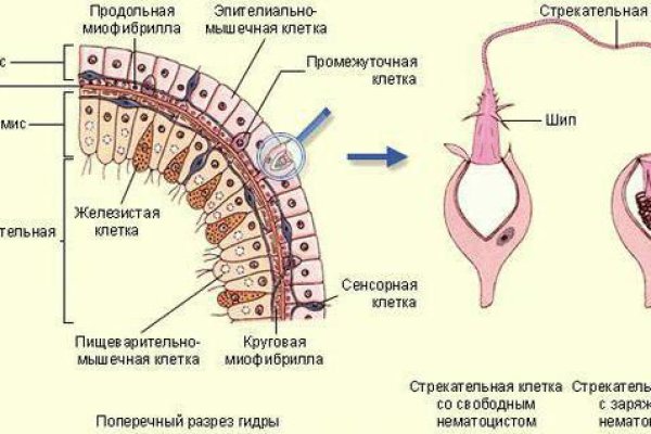 Ссылка на кракен официальный сайт