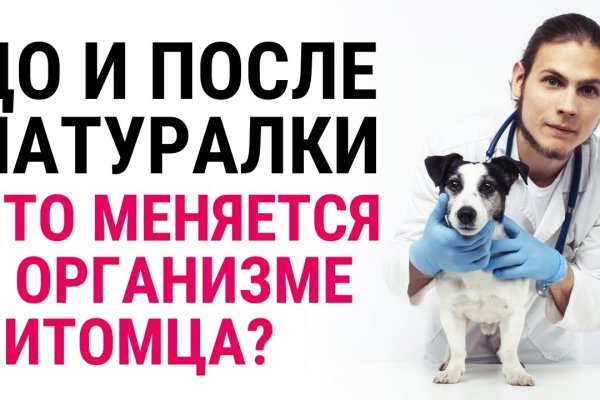 Кракен ссылка прокатис