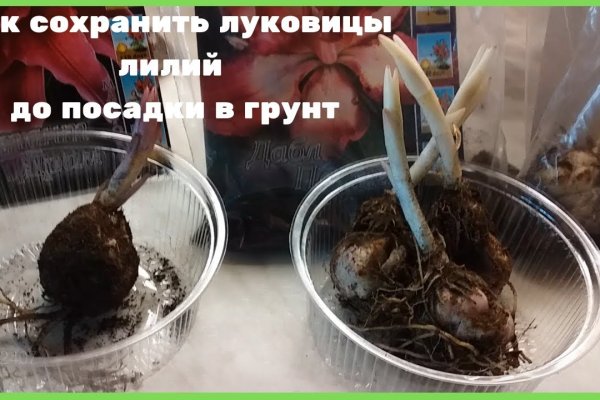 Как восстановить аккаунт на кракене даркнет